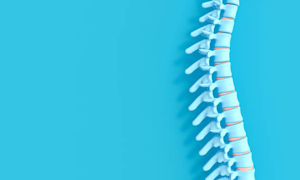 Ways in which you can help prevent osteoporosis
