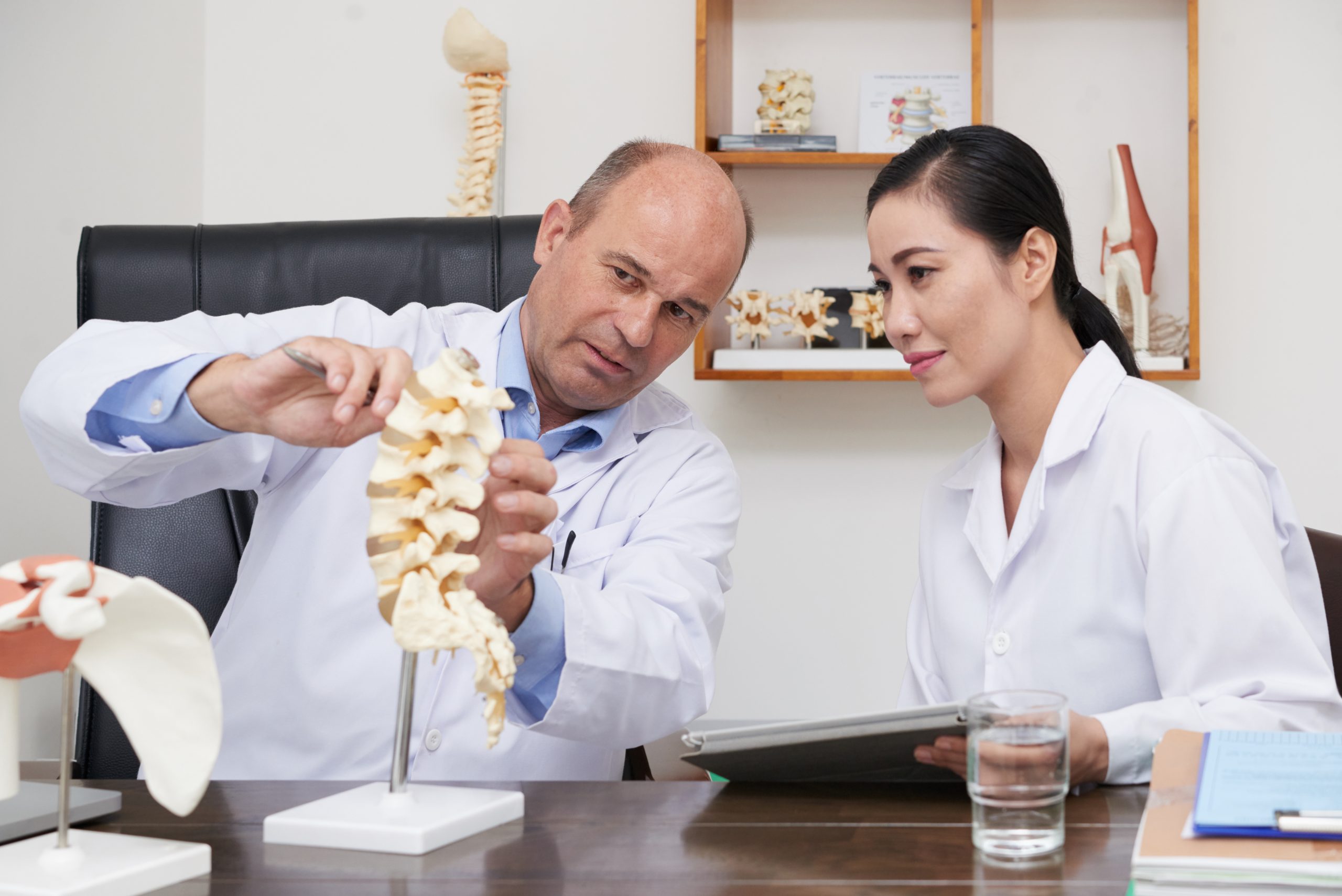 Doctor explaining spine anatomy